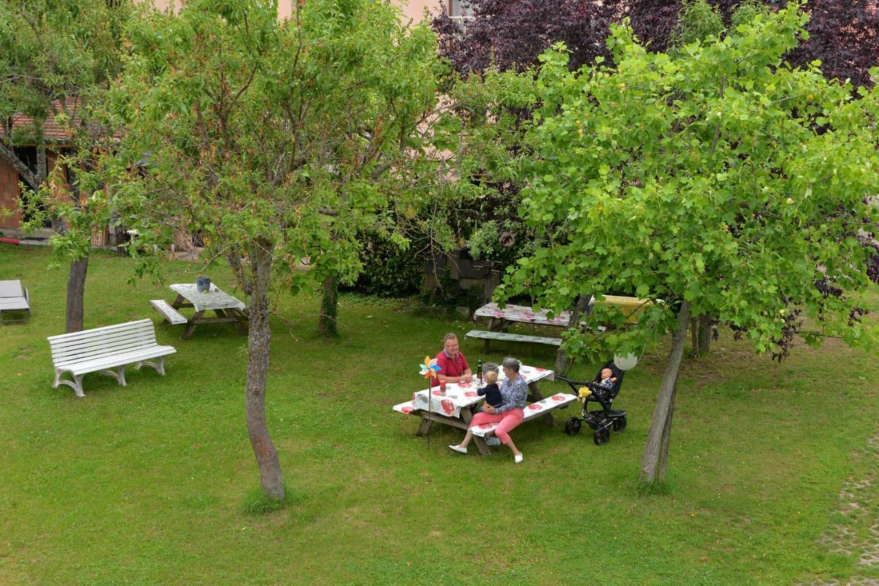 L'éclos des vignes - Appartements haut de gamme avec Spa Bergheim Esterno foto